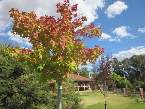 Bridgetown Valley Lodge - Sydneys Hotel 40