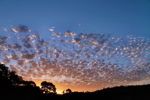 Bridgetown Valley Lodge - Sydneys Hotel 6