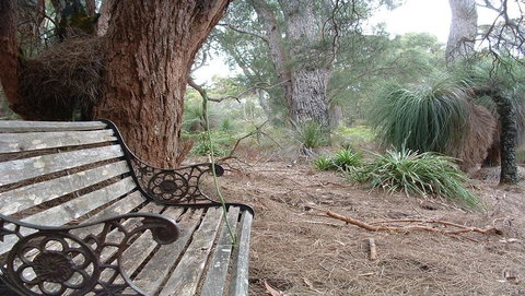 Yelverton Brook Conservation Sanctuary - Sydneys Hotel 42