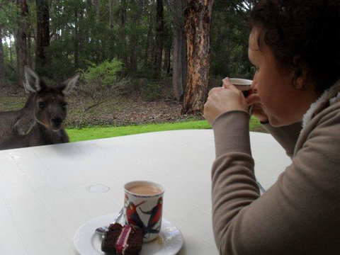 Yelverton Brook Conservation Sanctuary - Sydneys Hotel 44