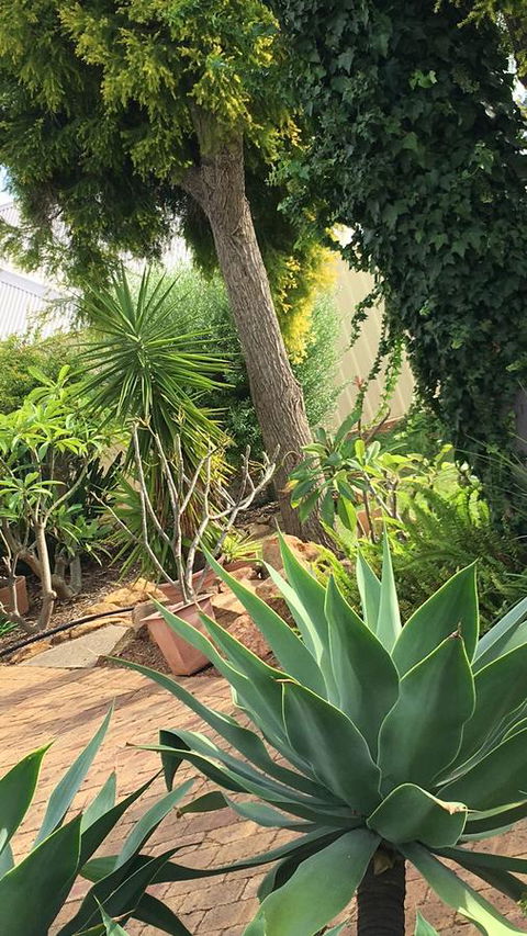 Armadale Cottage Bed & Breakfast - Sydneys Hotel 1