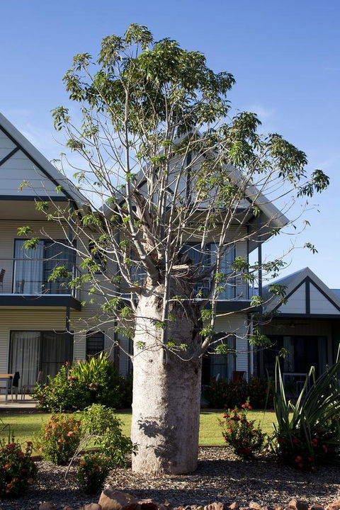 Freshwater East Kimberley Apartments - Sydneys Hotel 18