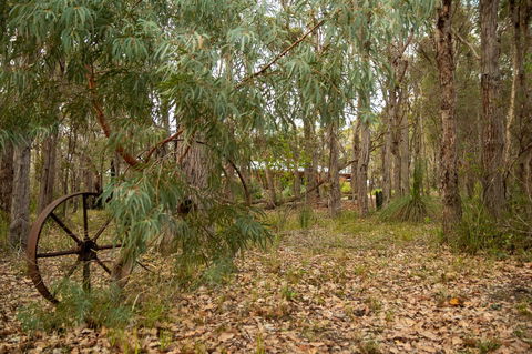 Denmark Forest Retreat - Sydneys Hotel 5