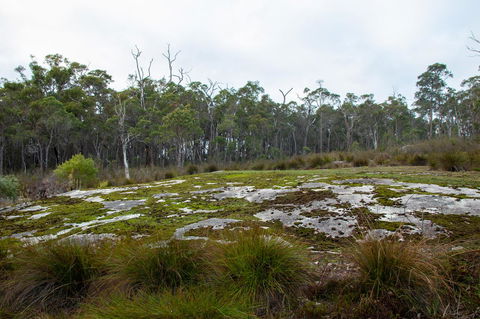 Denmark Forest Retreat - Sydneys Hotel 26