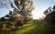 Historic Oakhill House Entire Estate - thumb 6