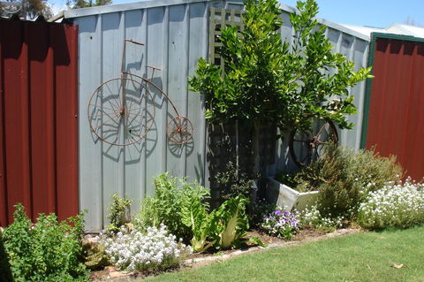 Bluebird Cottage - Sydneys Hotel 26