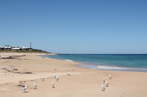 Bluebird Cottage - Sydneys Hotel 40