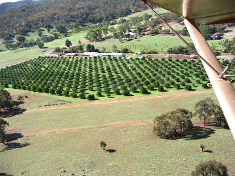 Bindoon's Windmill Farm - Sydneys Hotel 3