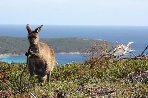Bremer Bay B&B - Sydneys Hotel 30