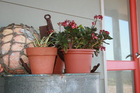 Bremer Bay B&B - Sydneys Hotel 28
