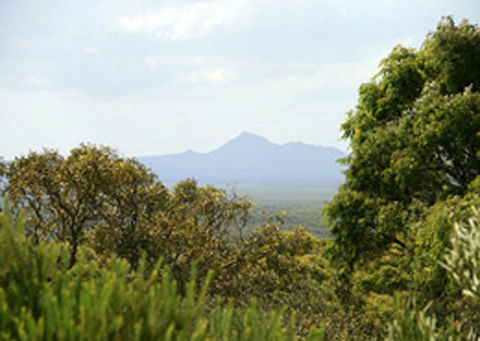Bremer Bay B&B - Sydneys Hotel 32