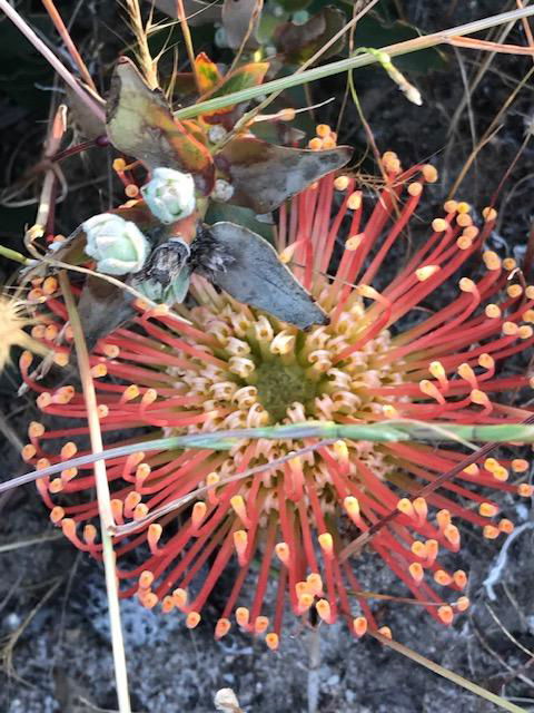 The Mains Guest House 2 Bedroom Farm Stay - Sydneys Hotel 18