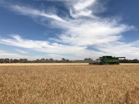 The Mains Guest House 2 Bedroom Farm Stay - Sydneys Hotel 17