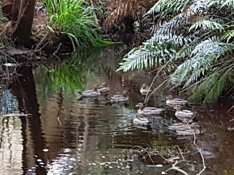 Strahan Retreat Holiday Park - Sydneys Hotel 24