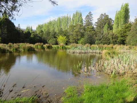 Giants Table And Cottages - Sydneys Hotel 25