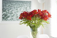Book Kingston Beach Accommodation Vacations Sydneys Hotel Sydneys Hotel