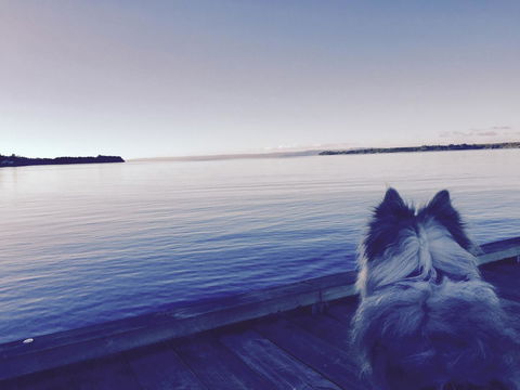 Wandering Geese Boutique Bed And Breakfast - Sydneys Hotel 21