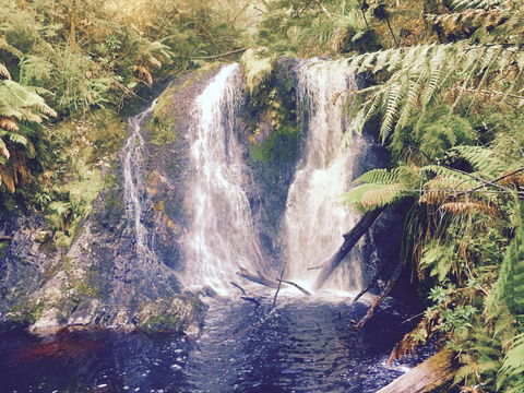 Wandering Geese Boutique Bed And Breakfast - Sydneys Hotel 29