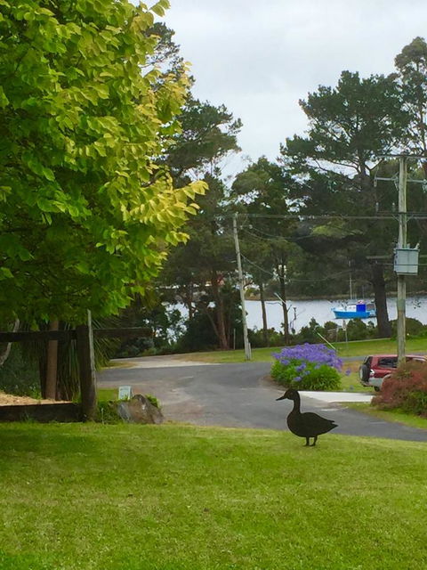 Wandering Geese Boutique Bed And Breakfast - Sydneys Hotel 15