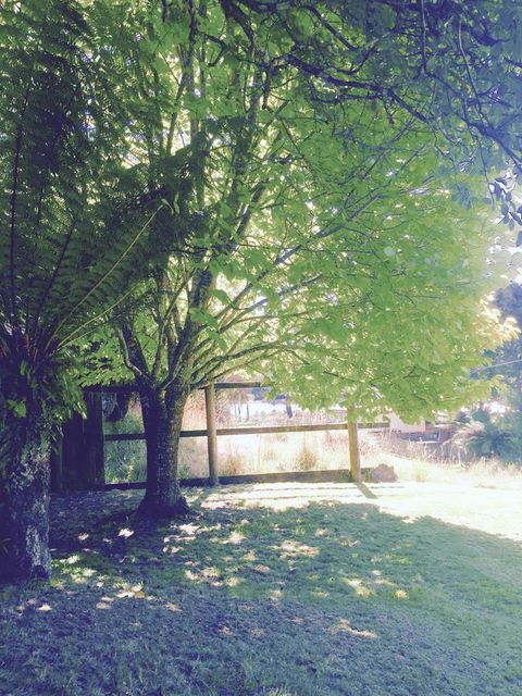 Wandering Geese Boutique Bed And Breakfast - Sydneys Hotel 30