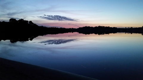 Castaway Holiday Apartments - Sydneys Hotel 5