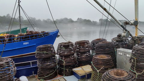 Castaway Holiday Apartments - Sydneys Hotel 4