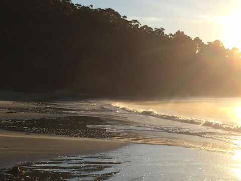 Summertime Cottage - Sydneys Hotel 7