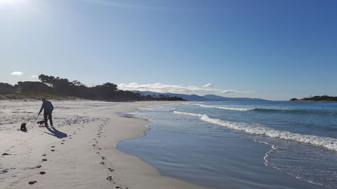 Suntrap Cove Bicheno - Sydneys Hotel 5