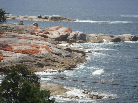 Suntrap Cove Bicheno - Sydneys Hotel 28