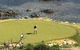Island Breeze Motel - thumb 8