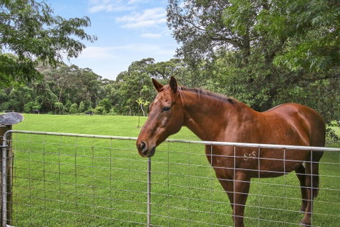 NUNGAROO COTTAGE - Sydneys Hotel 3