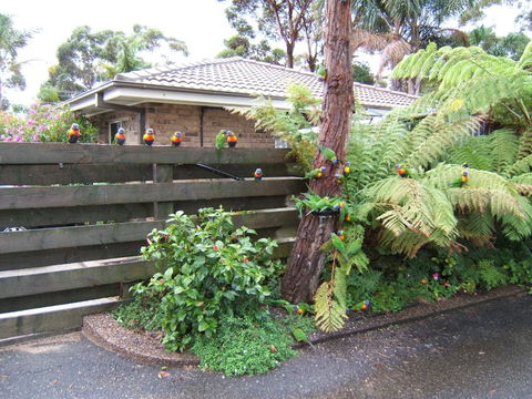 Ocean Drive Apartments - Sydneys Hotel 3