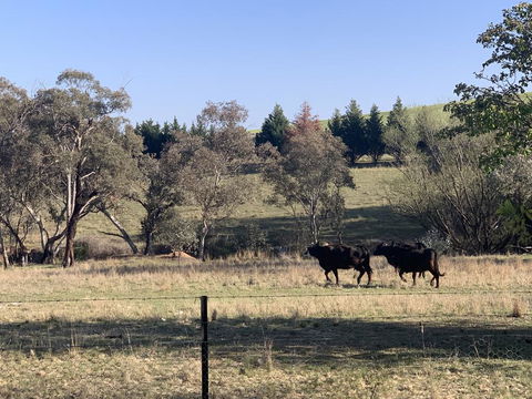 OConnell Retreat BnB - Sydneys Hotel 1