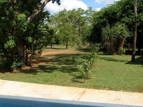 Pandanus On Litchfield - Sydneys Hotel 3