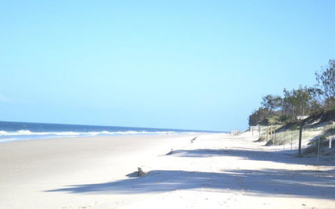 Pet Friendly Home Walking Distance To Surf Beach - North St, Woorim - Sydneys Hotel 3