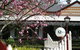 Quamby Homestead - thumb 2