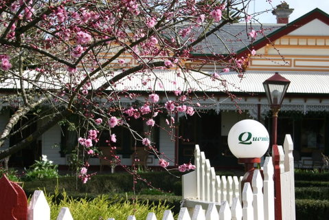 Quamby Homestead - Sydneys Hotel 2