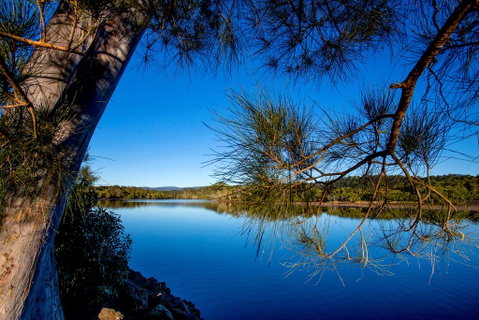 Reflections Holiday Parks Ferry Reserve - Sydneys Hotel 3