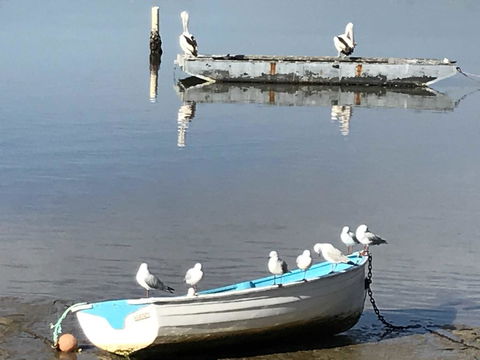 Reflections On Merimbula Lake - Sydneys Hotel 2