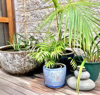 SEAeSCAPE Apollo Bay