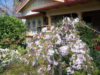 Book Katoomba Accommodation Vacations Sydneys Hotel Sydneys Hotel