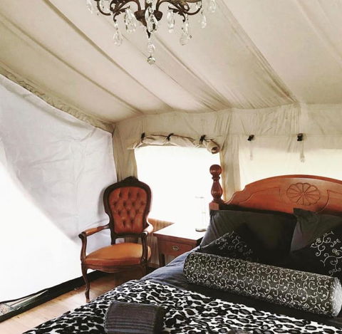 Silk Pavilions Glamping - Sydneys Hotel 1