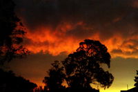 Book Thulimbah Accommodation Vacations Sydneys Hotel Sydneys Hotel