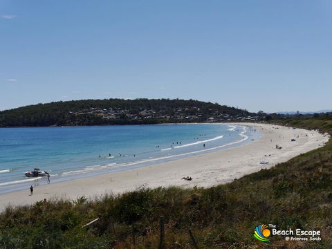The Beach Escape - Sydneys Hotel 0