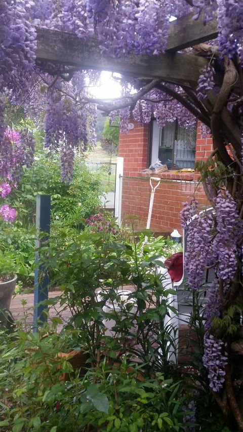 Birch Lane - Sydneys Hotel 41