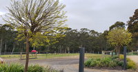 Book Lebrina Accommodation Vacations Sydneys Hotel Sydneys Hotel
