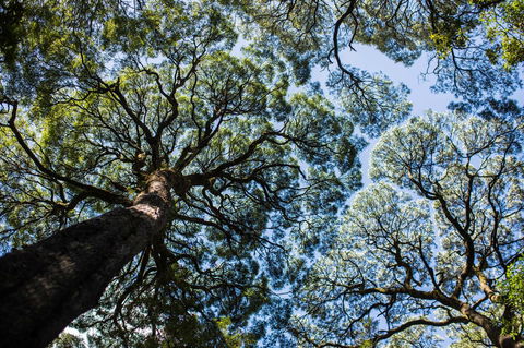 Strahan Village - Sydneys Hotel 26