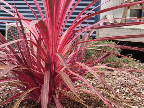Captain Cook Holiday Park - Sydneys Hotel 15