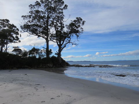 Captain Cook Holiday Park - Sydneys Hotel 9