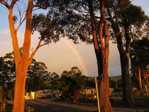 Captain Cook Holiday Park - Sydneys Hotel 12
